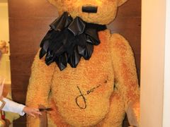 -济州岛泰迪熊博物馆