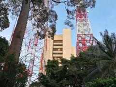 -武吉知马自然保护区