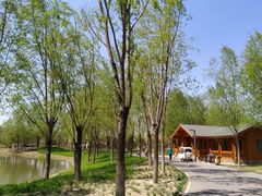 -东郊湿地公园