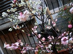 -古韵餐厅(湖畔大学店)