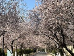 -山东师范大学(千佛山校区)
