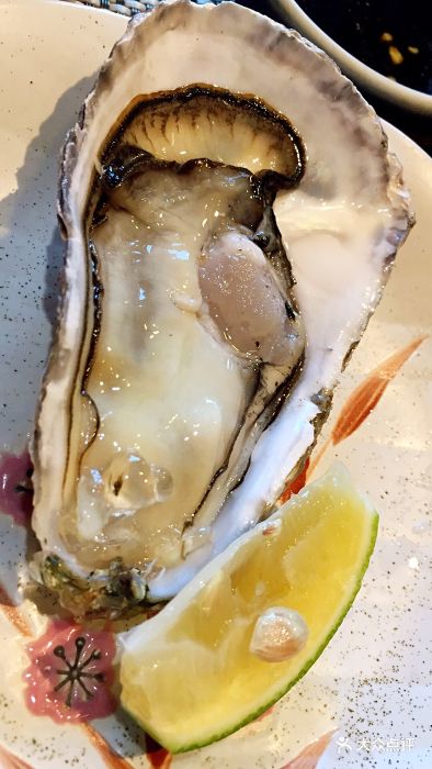 和心庭日本料理-爱尔兰生蚝-菜-爱尔兰生蚝图片-上海美食-大众点评网