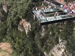 -梦幻奥陶纪景区