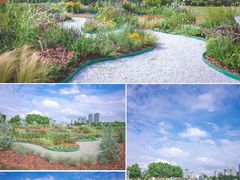 -庐山风景区花径公园