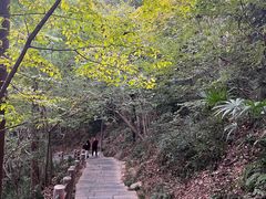 -敬亭山风景名胜区