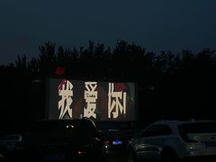 -枫花园汽车电影院(朝阳公园店)