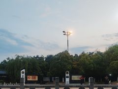 -洛龙公园