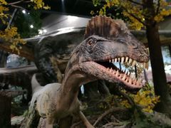 -湖南省地质博物馆