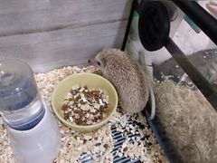 -藦茜花园宠物主题亲子互动体验馆(国顺东路店)