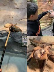 -Zoolung Zoolung动物主题公园(海信广场店)