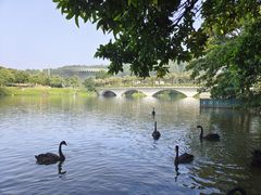 -中国移动南方基地