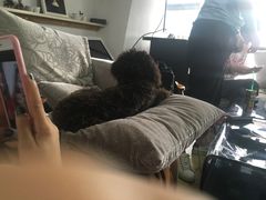 -赢吧Bliss音乐酒吧