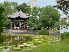 -迎泽公园