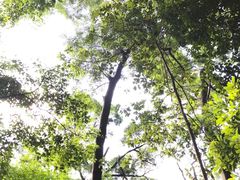 -铁路文化公园