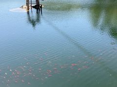 -沂蒙山旅游区云蒙景区(蒙山国家森林公园)