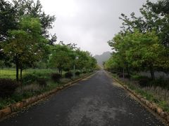 -帐篷客·溪龙茶谷度假酒店