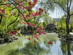 -中国人民解放军总医院