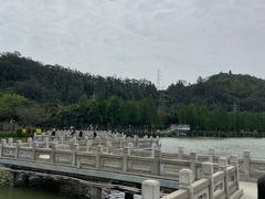 -顺峰山公园