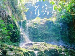 -大围山国家森林公园
