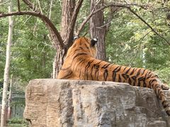 -秦皇岛野生动物园