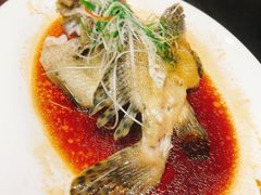 -紫阳海鲜楼·传承闽味(长乐路总店)