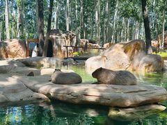 -北京野生动物园