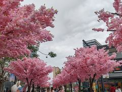 -东莞松山湖万象汇