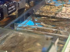 -加餐海鲜自助(宝龙一城店)