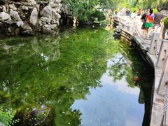 -环城公园