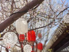 -三里河公园