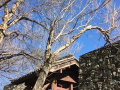 -天龙八部武侠城