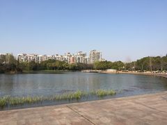 -新江湾城公园