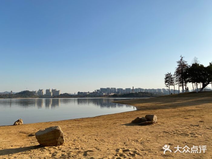 松山湖南湖湾露营营地图片
