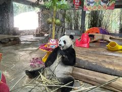 -海南热带野生动植物园