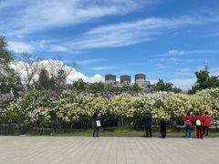 -群力丁香公园