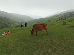 -大姆山草场