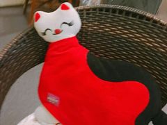 -猫色咖啡·猫咖
