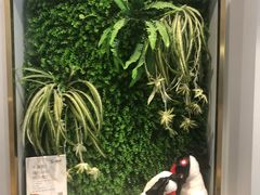 -食武士·舒芙蕾(新街口明瓦廊店)