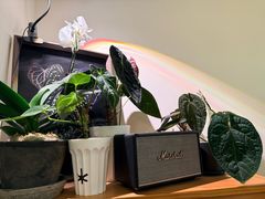 -本無咖啡·BeanWood Coffee