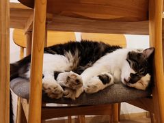 -猫的天空之城概念书店(苏州平江店)