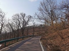 -南京老山国家森林公园