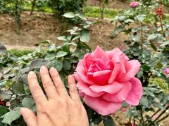 -人民公园(罗湖区)