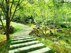 -苍龙峡风景区