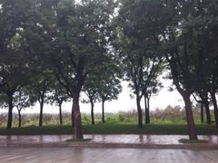 android_upload_pic-法门文化景区
