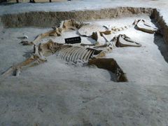 -洛阳周王城天子驾六博物馆