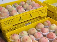 -老袁家蜜桃农场·阳山水蜜桃