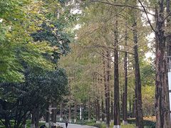 -苏州河梦清园环保主题公园