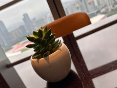 -广州粤海喜来登酒店