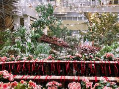 -正佳雨林生态植物园