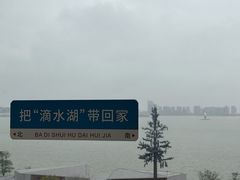 -朵云书院(滴水湖店)